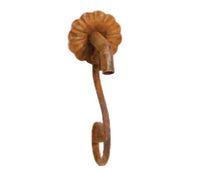 Thumbnail for Giannini Garden Montefalco Wall Fountain For Rustic Spout
